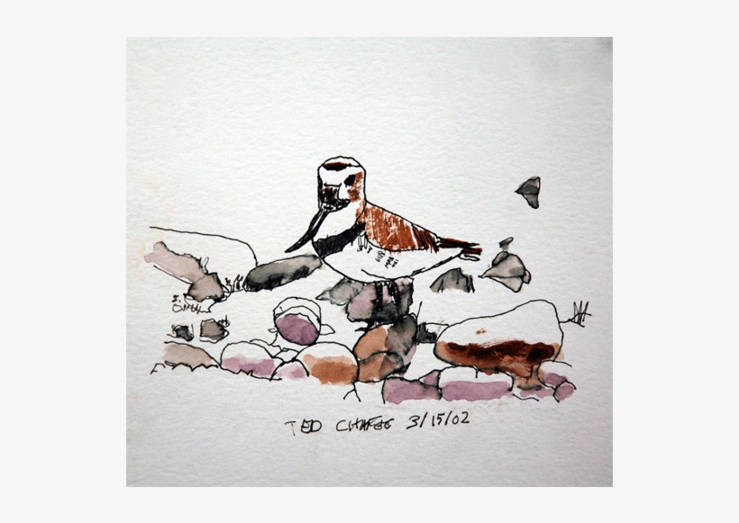 Watercolor Birds 2 - Watercolor Painting, transparent png #1368032