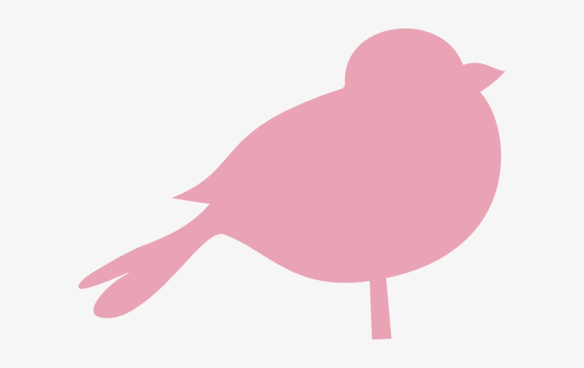 Pink Chubby Bird - Bird, transparent png #1368543