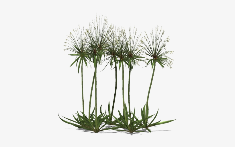 Go To Image - Paper, transparent png #1369091