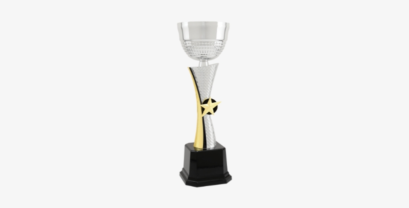 11 3 4 Silver Gold Textured Metal Cup Trophy - Silver, transparent png #1369890