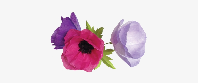Get Crafty With 100 Simple Paper Flowers - Paper, transparent png #1370252