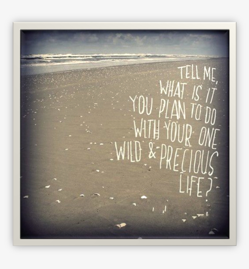 Life Plan Beach - Tell Me, What Is It You Plan To Do With Your One Wild, transparent png #1370635