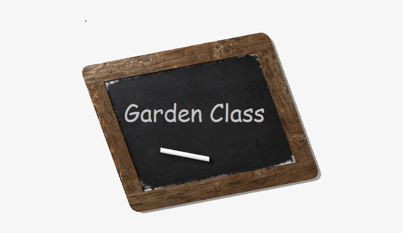 Garden Class Blackboard - First Class Teacher Journal Chalkboard Design (teacher, transparent png #1370779