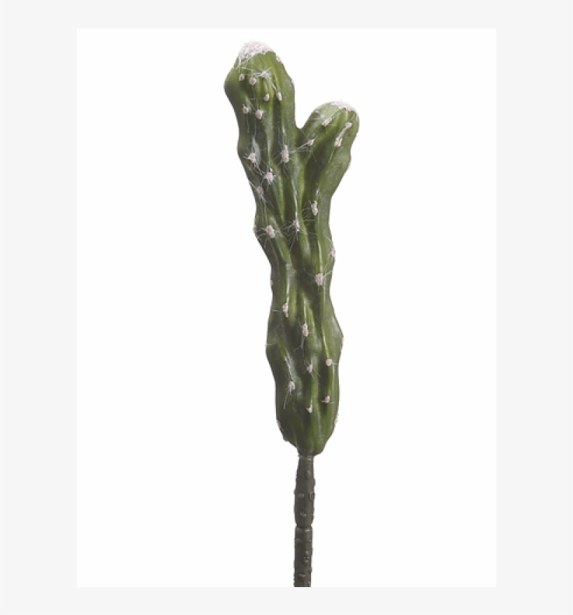 75" Churro Cactus Green - Allstate Floral 10.75" Churro Cactus Green (pack, transparent png #1371264