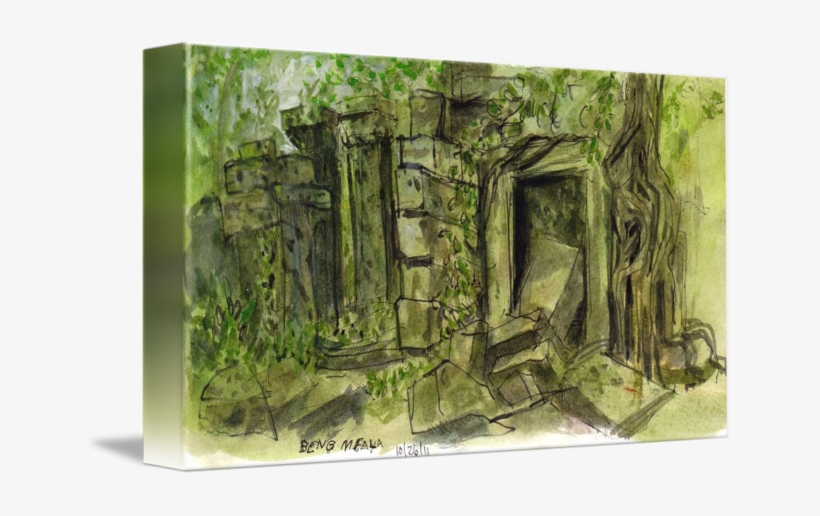 Vegetation Drawing Natural Environment - Drawing, transparent png #1371329