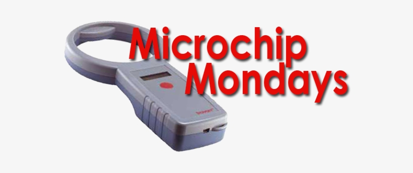 Carolina Ranch Offers $10 Off Microchipping Every Monday - Gadget, transparent png #1372021