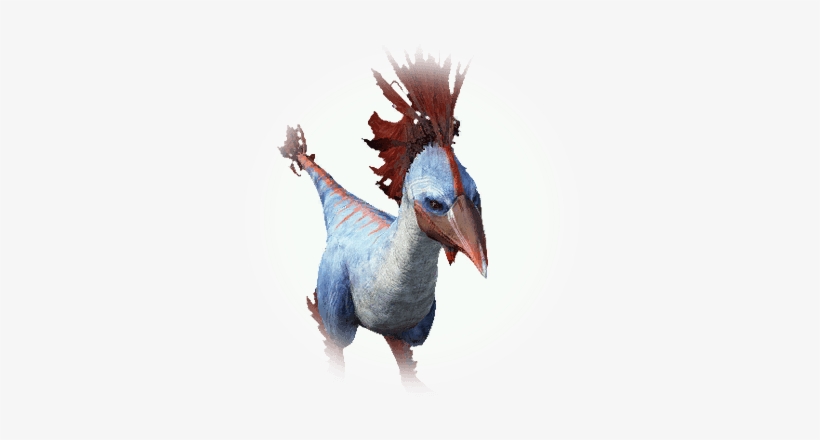 Icon - Domesticated Turkey, transparent png #1372203