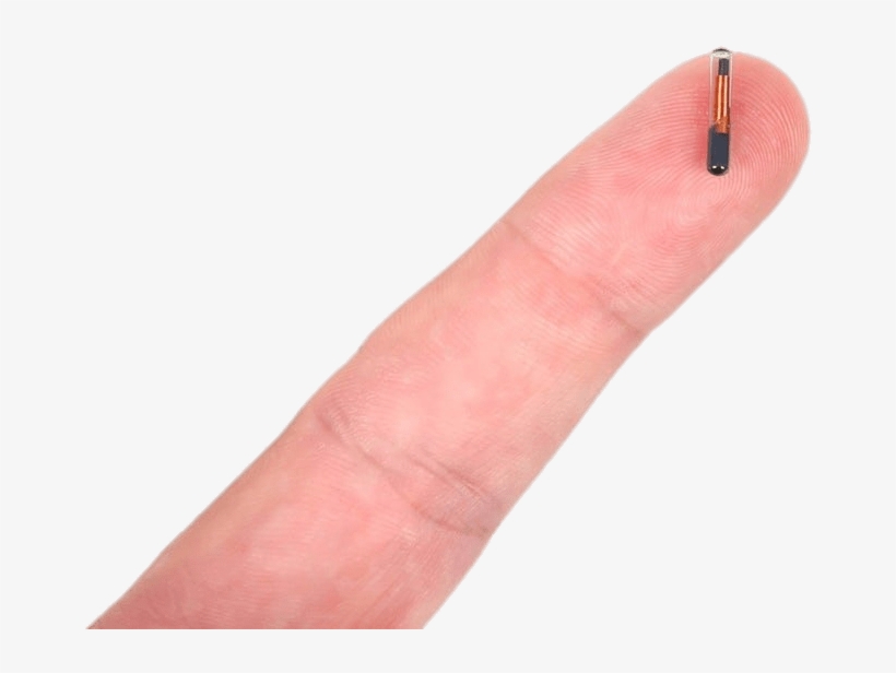 Electronics - Microchip Implant, transparent png #1372400