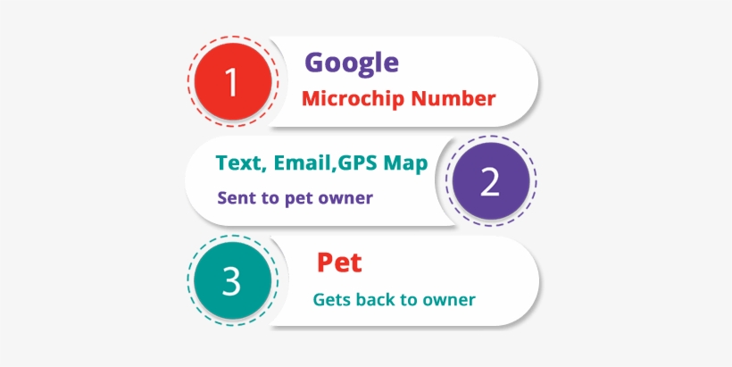 3 Steps - Telomere, transparent png #1372599