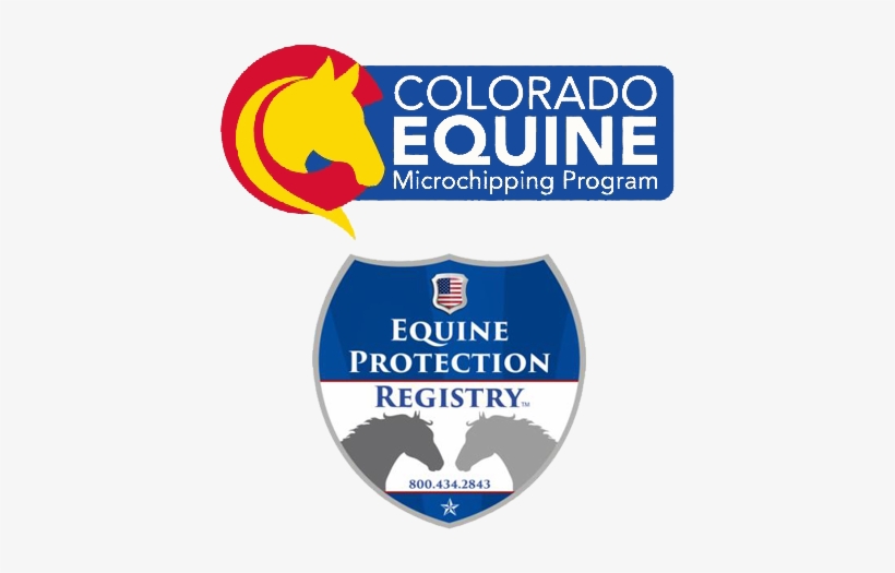 Equine Chip & Registration - Image May Contain: Text, transparent png #1372674