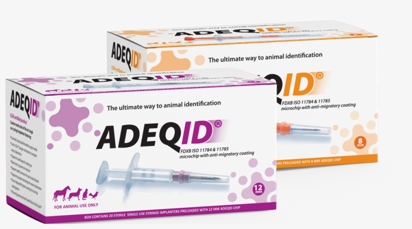 Click Here For More - Box, transparent png #1372817