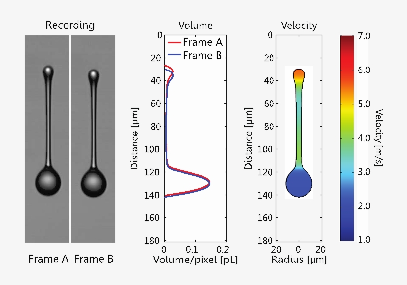 Testing Models - Drop Detection Inkjet, transparent png #1373024