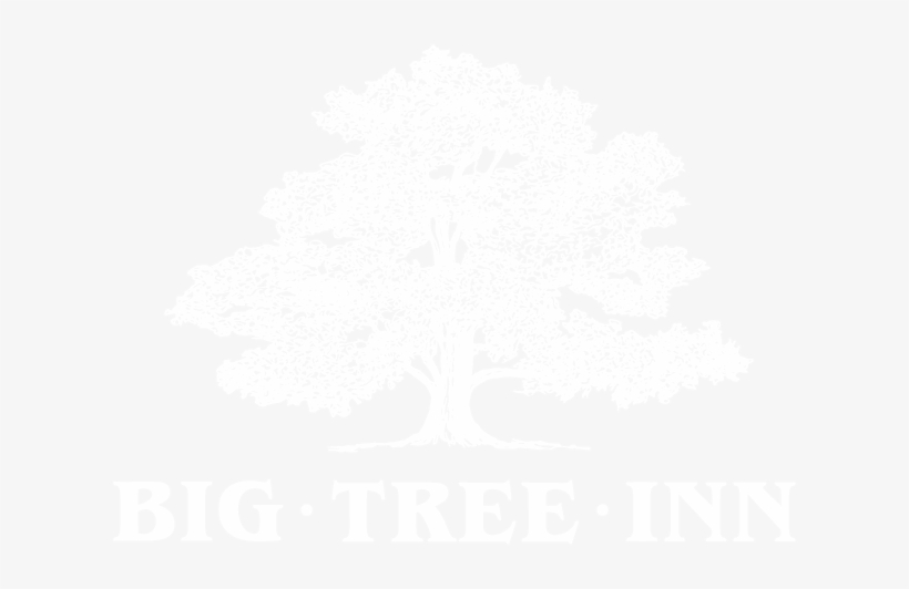 Big Tree Png, transparent png #1373220