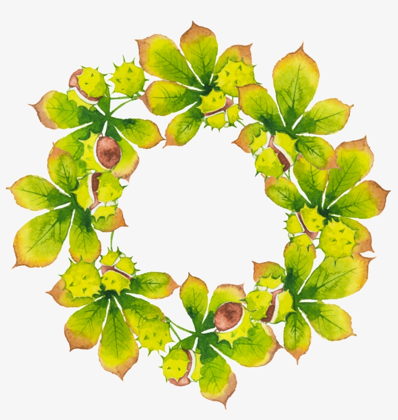 Creative Green Leaf Wreath Hd Png Hand Painted - Plantas En Circulos, transparent png #1373282