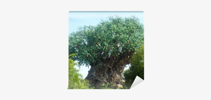 Disney World, The Tree Of Life, transparent png #1373317