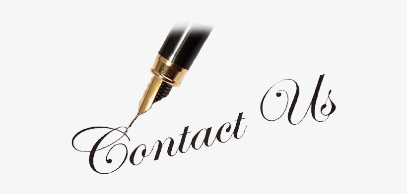 Info@weddingsinthewilde - Com - Au, transparent png #1373408