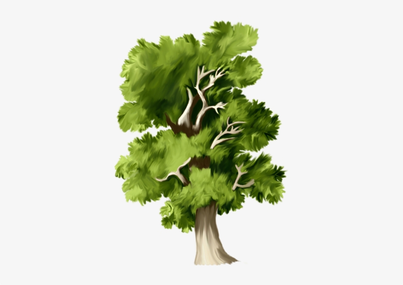 Неразобранное В Деревья Png - Tree, transparent png #1373481