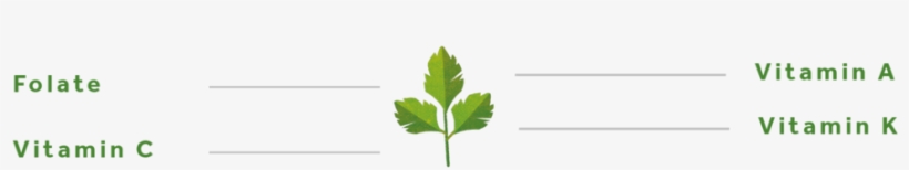 Parsley-01 - Tree, transparent png #1373545