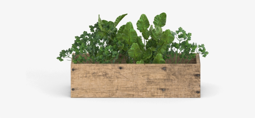 Portable Network Graphics, transparent png #1373592