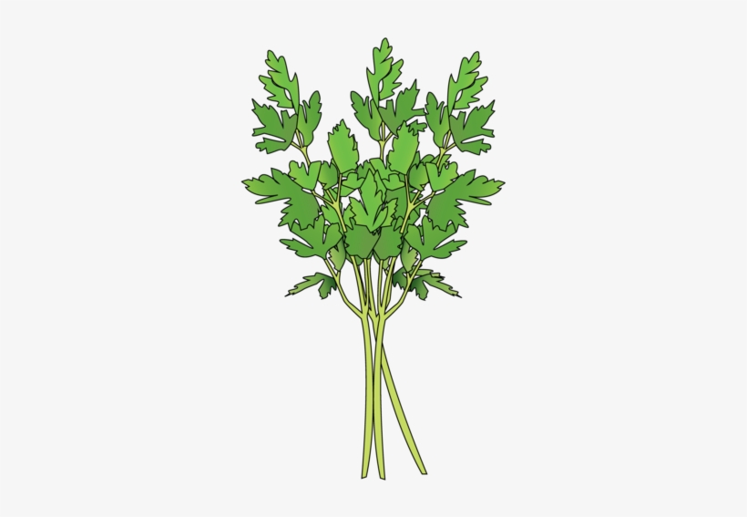 Parsley - Grass, transparent png #1373615