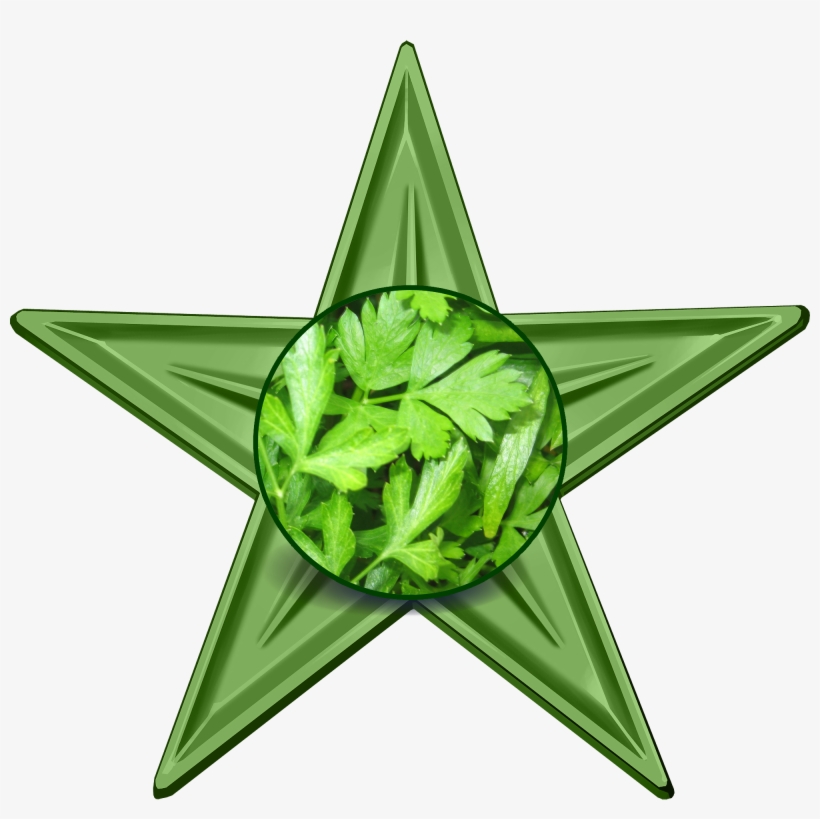 Parsley Barnstar - Parsley Magical Properties, transparent png #1373635