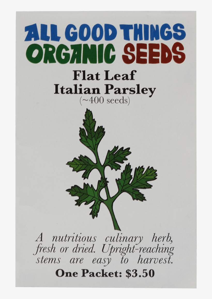 Flat Leaf Italian Parsley - Earth Shift Magnesium Oil, transparent png #1373781