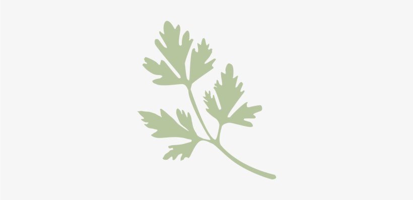 The Lills Food Parsley - Food, transparent png #1373886