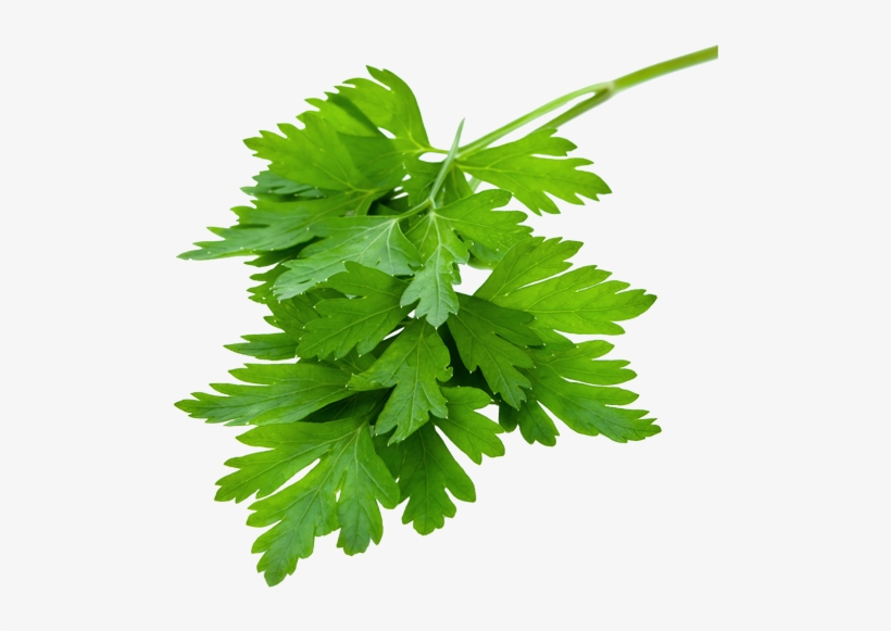 Ing-115 - Salve Supplements Salve Verdure Multivitamin &, transparent png #1374031