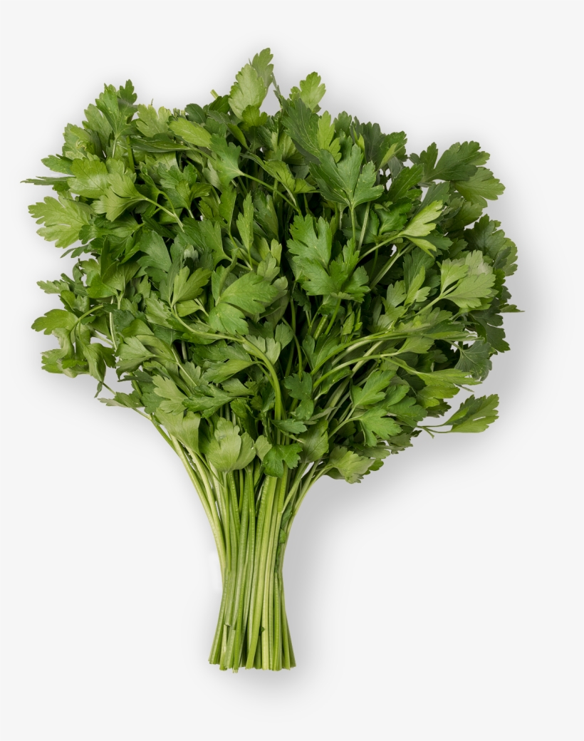 Parsley, transparent png #1374096
