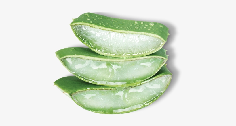 California Aloe Vera - Nature Republic Aloe Vera Png, transparent png #1374097