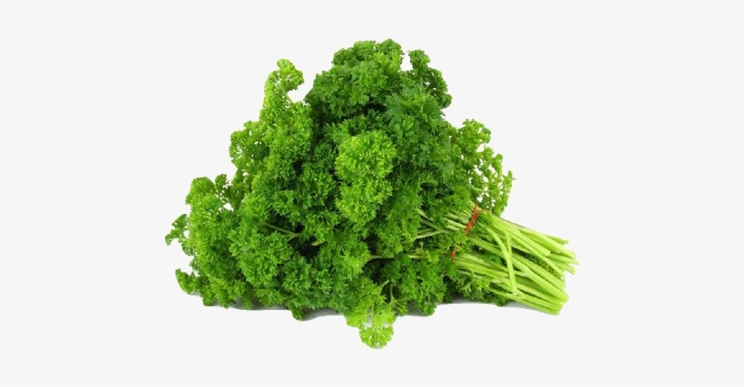 Parsley - Vegetables Flashcard, transparent png #1374404