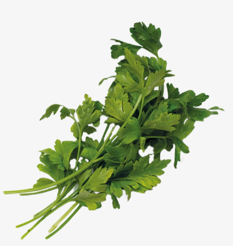 Green Onions Png - Searing, transparent png #1374560