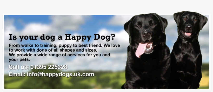 Puppy - Dog Yawns, transparent png #1376730