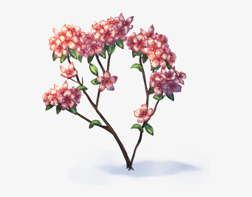 Screencast Azaleas - Azalea Transparent Png, transparent png #1376961