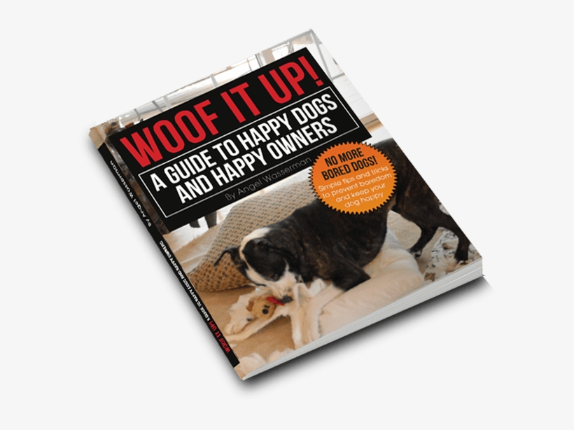 Dog Catches Something, transparent png #1377159