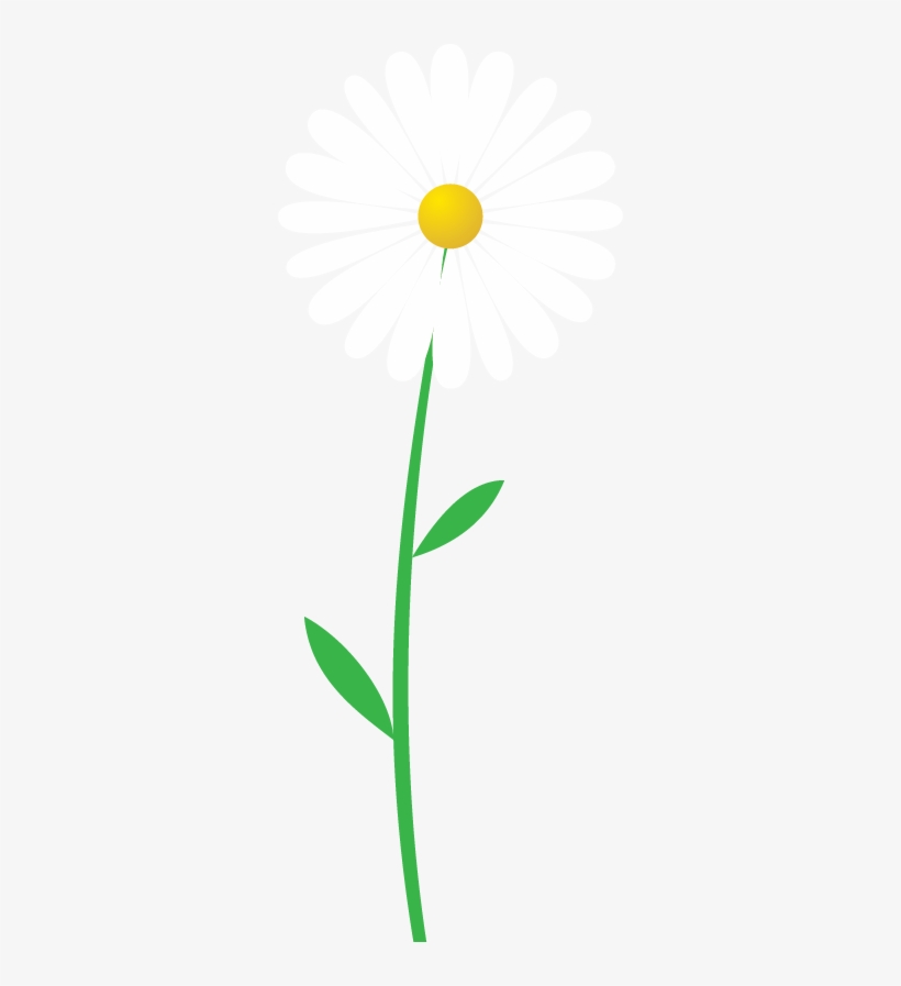 Daisy Flower - Brand New Heavies Best Of 20 Years, transparent png #1377257