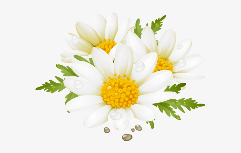Daisy Clipart Flores - Summer Flower Clip Art, transparent png #1377551