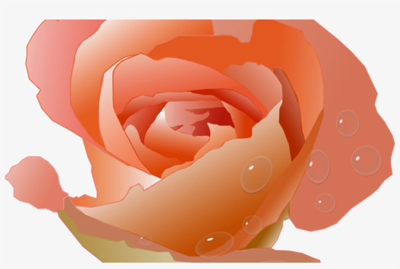 Pretty Pink Daisy Flower Free Clip Art Hanslodge Cliparts - Coral Rose Clip Art, transparent png #1377733