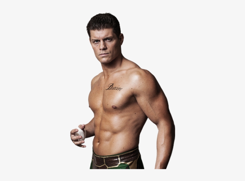 Cody En-352x528 - Cody Rhodes Njpw Png, transparent png #1378573