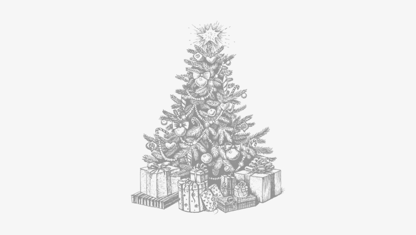 Christmas Menu Drinks Packages - Christmas Tree Sketch, transparent png #1379431