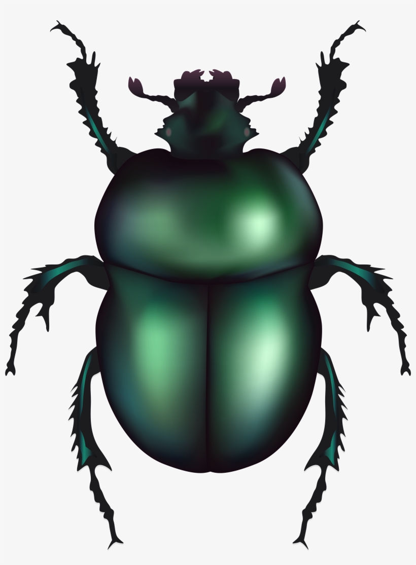 Beetle Clipart At Getdrawings, transparent png #1380674
