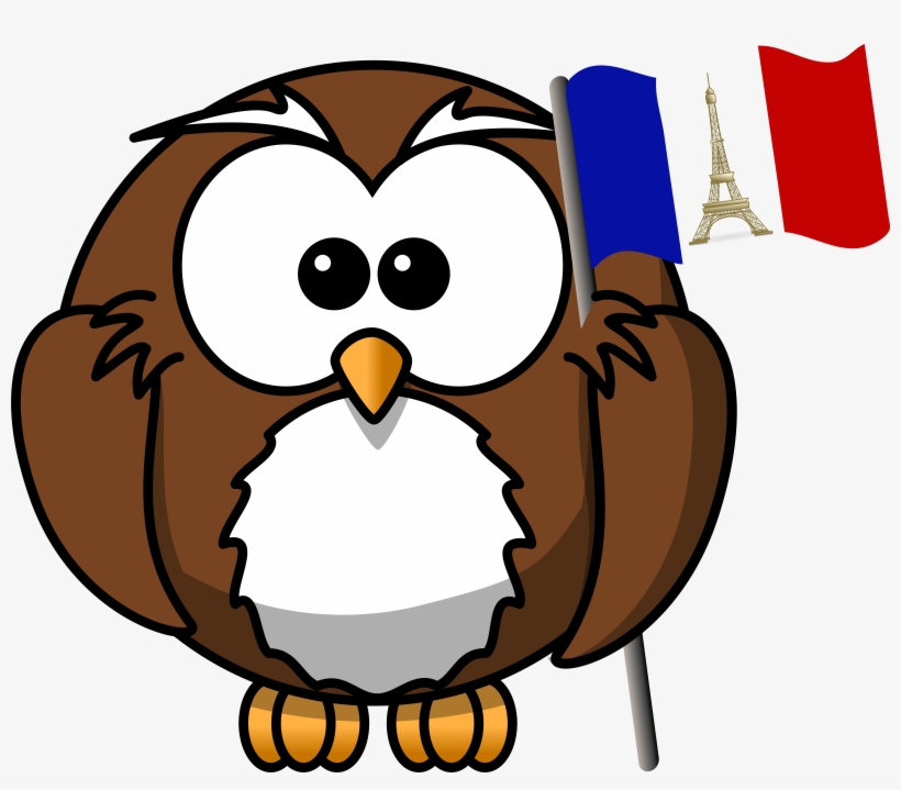 This Free Icons Png Design Of Owl With French Flag, transparent png #1381712