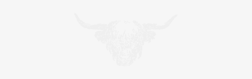 Duncan Grey - French Knickers, transparent png #1382310