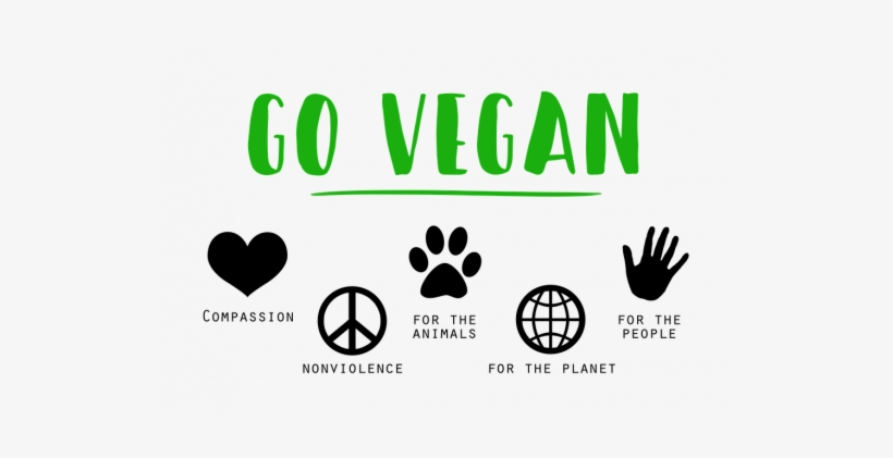 After School, I Walk Home Directly To The Cabinet In - Vegan Vegetarian, transparent png #1384474