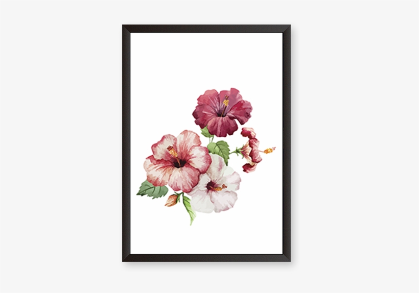 Hibiscus Flowers - Hibiscus Painting, transparent png #1384546