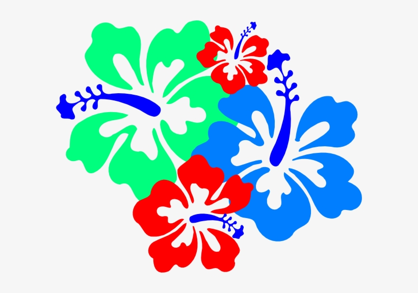 Hibiscus Flowers 4, transparent png #1384629
