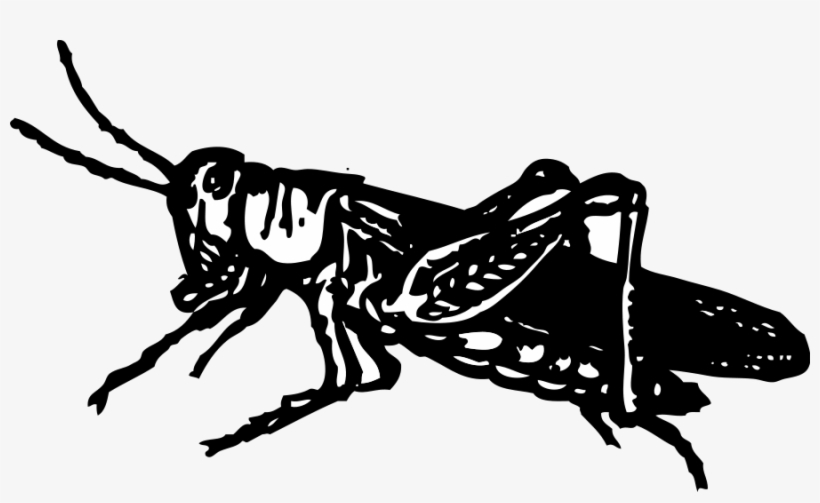 How To Set Use Grasshopper Svg Vector, transparent png #1385130