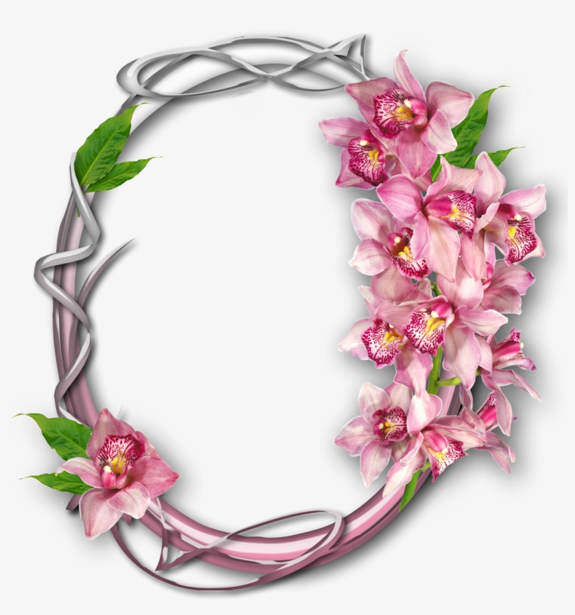 Marco De Circulo Con Flores Rosas - ภาพ หน้า ปก รายงาน ดอกไม้, transparent png #1385153