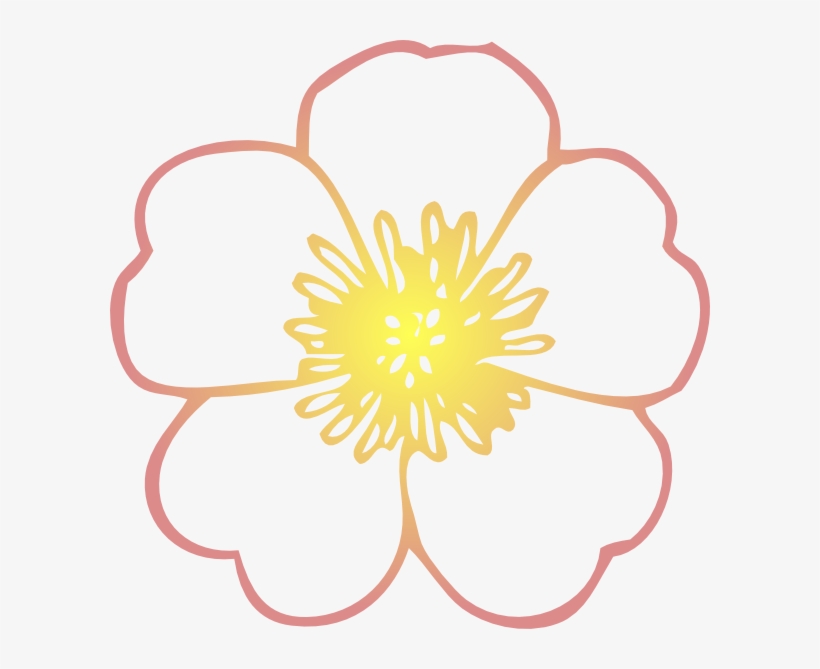 How To Set Use Coral And Yellow Hibiscus Flower Clipart, transparent png #1385185