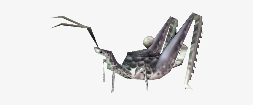 Grasshopper Tea - Tea, transparent png #1385410